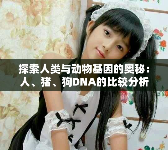 探索人类与动物基因的奥秘：人、猪、狗DNA的比较分析