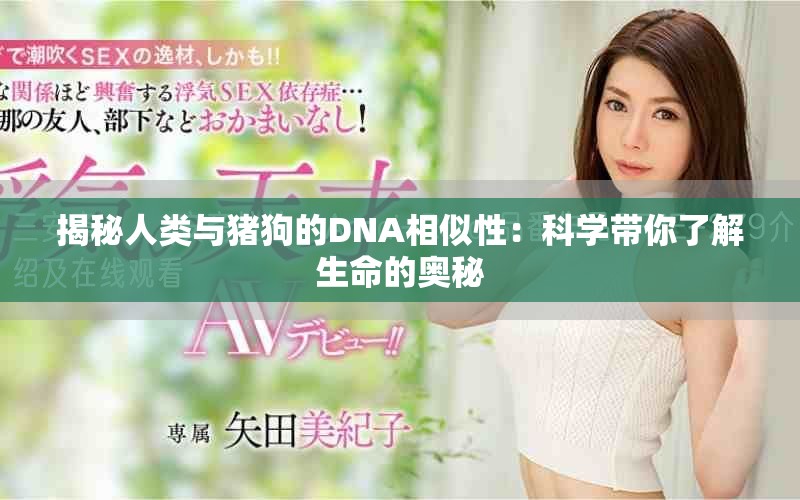 揭秘人类与猪狗的DNA相似性：科学带你了解生命的奥秘