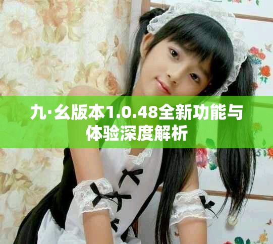 九·幺版本1.0.48全新功能与体验深度解析