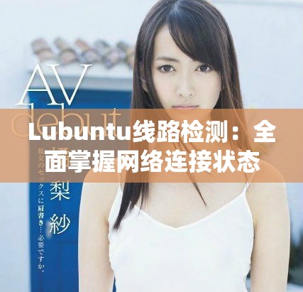 Lubuntu线路检测：全面掌握网络连接状态与故障排查技巧