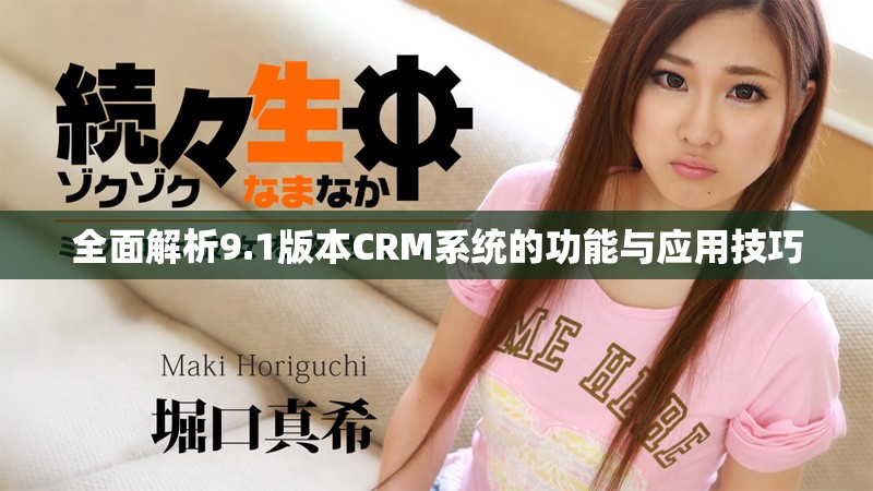 全面解析9.1版本CRM系统的功能与应用技巧