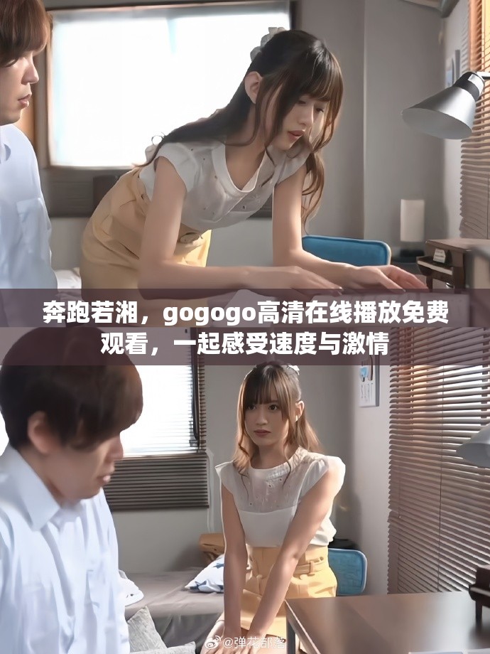 奔跑若湘，gogogo高清在线播放免费观看，一起感受速度与激情