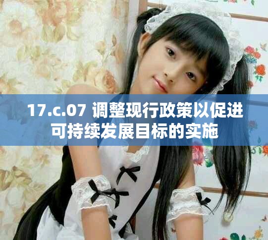 17.c.07 调整现行政策以促进可持续发展目标的实施