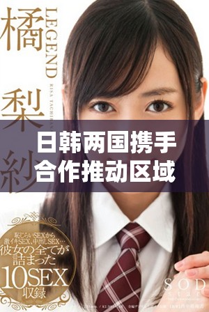 日韩两国携手合作推动区域经济发展与交流