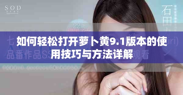 如何轻松打开萝卜黄9.1版本的使用技巧与方法详解