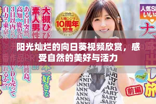 阳光灿烂的向日葵视频欣赏，感受自然的美好与活力