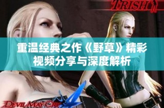重温经典之作《野草》精彩视频分享与深度解析