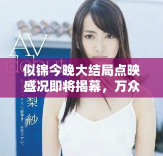 似锦今晚大结局点映盛况即将揭幕，万众期待的精彩时刻来临