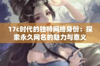 17c时代的独特网络身份：探索永久网名的魅力与意义