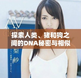探索人类、猪和狗之间的DNA秘密与相似性解析视频精彩呈现