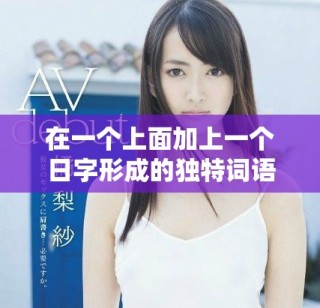 在一个上面加上一个日字形成的独特词语解析与应用探索