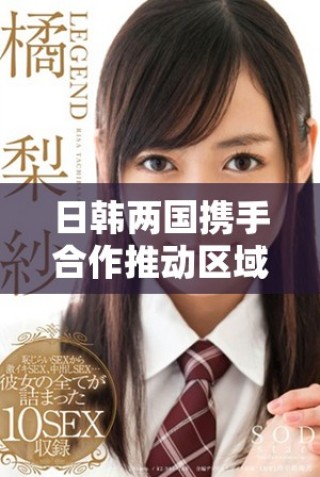 日韩两国携手合作推动区域经济发展与交流