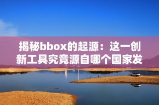 揭秘bbox的起源：这一创新工具究竟源自哪个国家发明