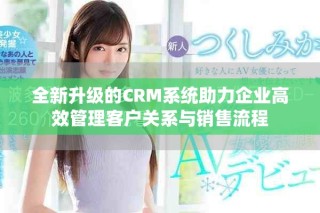 全新升级的CRM系统助力企业高效管理客户关系与销售流程