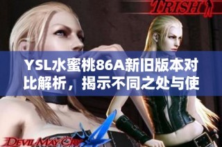 YSL水蜜桃86A新旧版本对比解析，揭示不同之处与使用感受