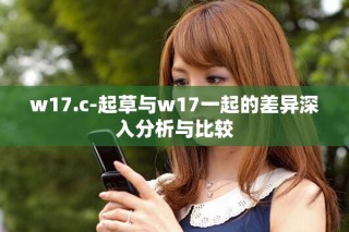 w17.c-起草与w17一起的差异深入分析与比较