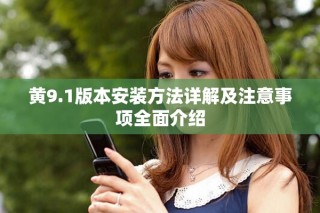 黄9.1版本安装方法详解及注意事项全面介绍
