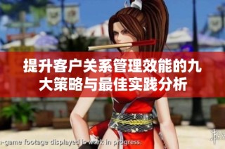 提升客户关系管理效能的九大策略与最佳实践分析