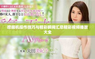 挖掘机操作技巧与精彩瞬间汇总精彩视频播放大全