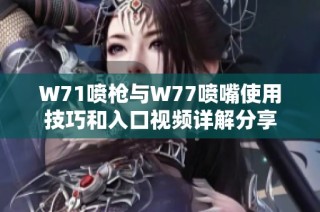 W71喷枪与W77喷嘴使用技巧和入口视频详解分享