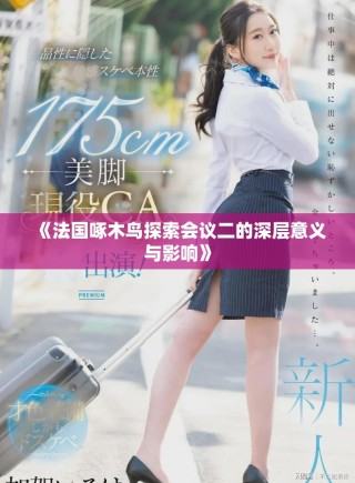 《法国啄木鸟探索会议二的深层意义与影响》