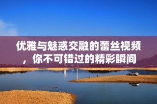 优雅与魅惑交融的蕾丝视频，你不可错过的精彩瞬间