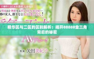 精华区与二区的区别解析：揭开88888金三角背后的秘密