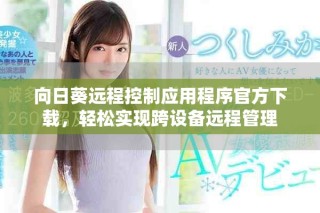 向日葵远程控制应用程序官方下载，轻松实现跨设备远程管理
