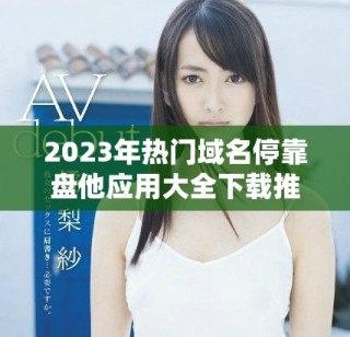 2023年热门域名停靠盘他应用大全下载推荐与评测