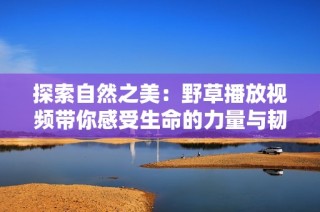 探索自然之美：野草播放视频带你感受生命的力量与韧性