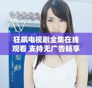 狂飙电视剧全集在线观看 支持无广告畅享40集精彩内容