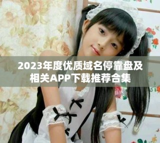 2023年度优质域名停靠盘及相关APP下载推荐合集
