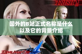 国外的B站正式名称是什么以及它的背景介绍