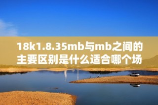 18k1.8.35mb与mb之间的主要区别是什么适合哪个场景使用