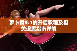 萝卜黄9.1的开启教程及相关设置指南详解