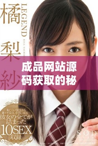 成品网站源码获取的秘密入口与隐藏技巧解析