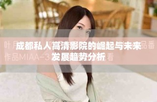 成都私人高清影院的崛起与未来发展趋势分析