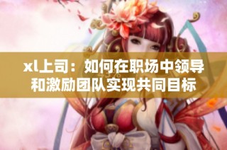 xl上司：如何在职场中领导和激励团队实现共同目标
