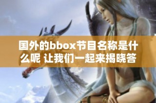 国外的bbox节目名称是什么呢 让我们一起来揭晓答案