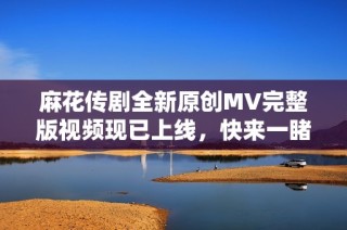 麻花传剧全新原创MV完整版视频现已上线，快来一睹为快吧