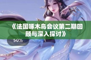 《法国啄木鸟会议第二期回顾与深入探讨》