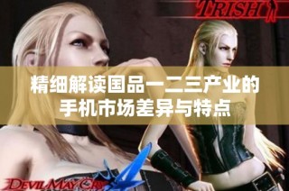 精细解读国品一二三产业的手机市场差异与特点