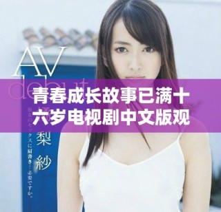 青春成长故事已满十六岁电视剧中文版观看方式全攻略