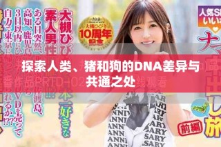 探索人类、猪和狗的DNA差异与共通之处