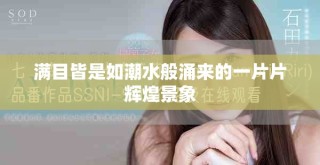 满目皆是如潮水般涌来的一片片辉煌景象