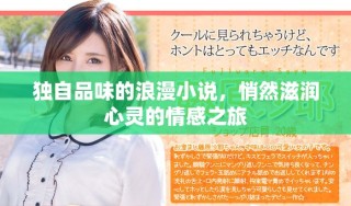 独自品味的浪漫小说，悄然滋润心灵的情感之旅