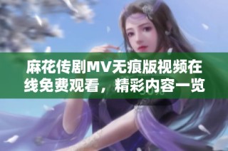 麻花传剧MV无痕版视频在线免费观看，精彩内容一览无余