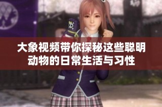 大象视频带你探秘这些聪明动物的日常生活与习性