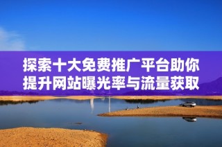 探索十大免费推广平台助你提升网站曝光率与流量获取技巧