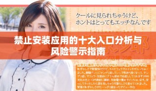 禁止安装应用的十大入口分析与风险警示指南
